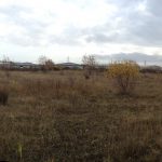 KS - Panorama from centre of site - facing SE