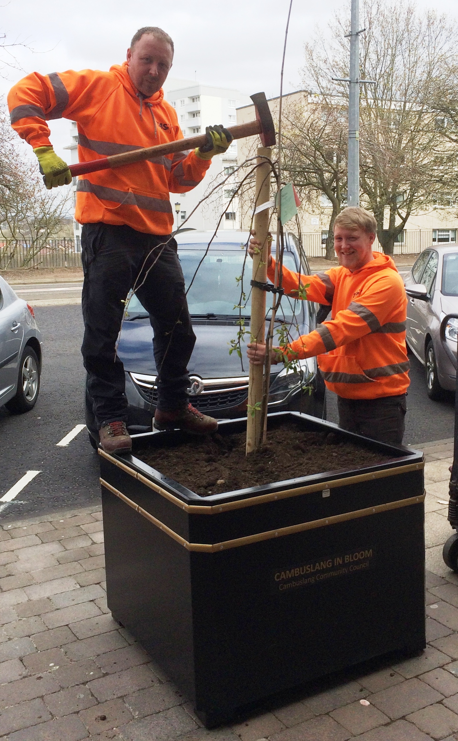 First shoots for Cambuslang in Bloom!